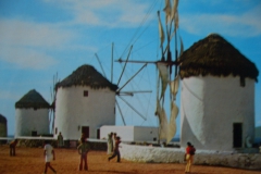cimg0455